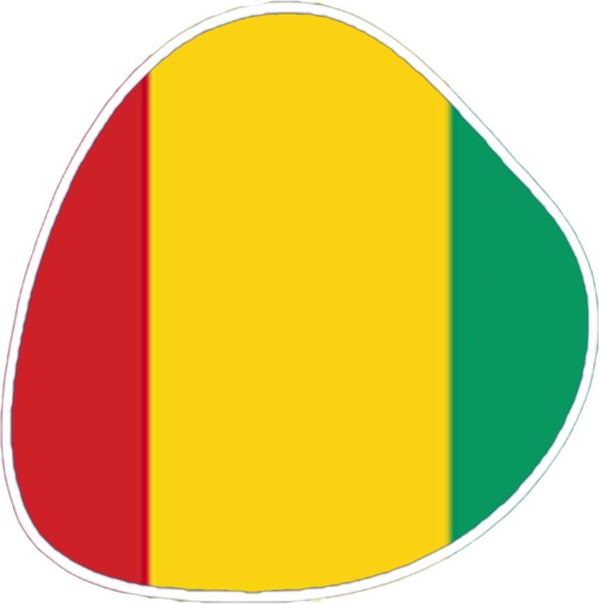 GUINÉE   ( H)